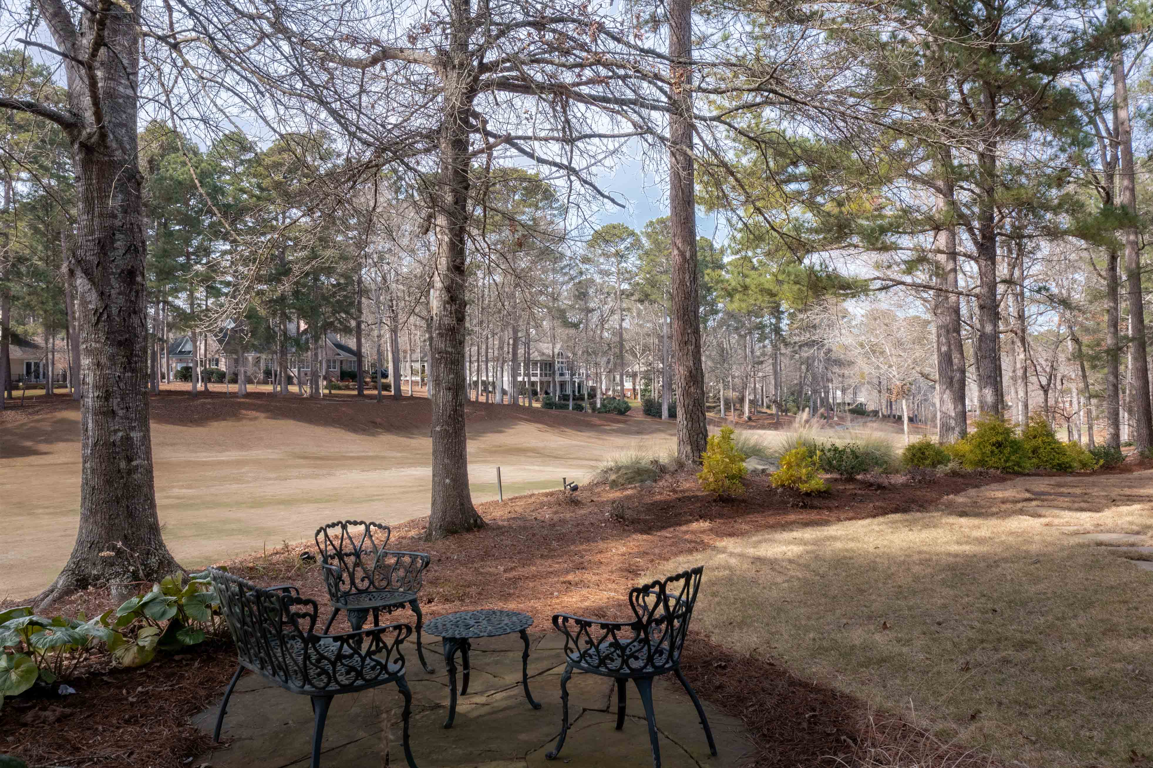 1151 Wrayswood Circle image 28